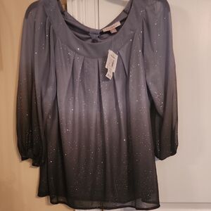 Apt. 9 Shimmering Gray Blouse New Never Worn